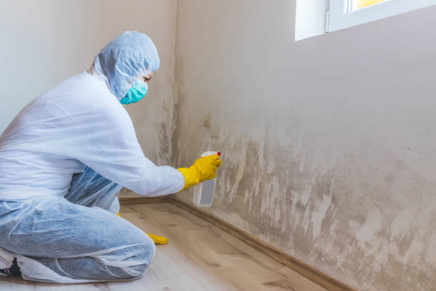 Mold inspector in Jacksonville performing thermal imaging